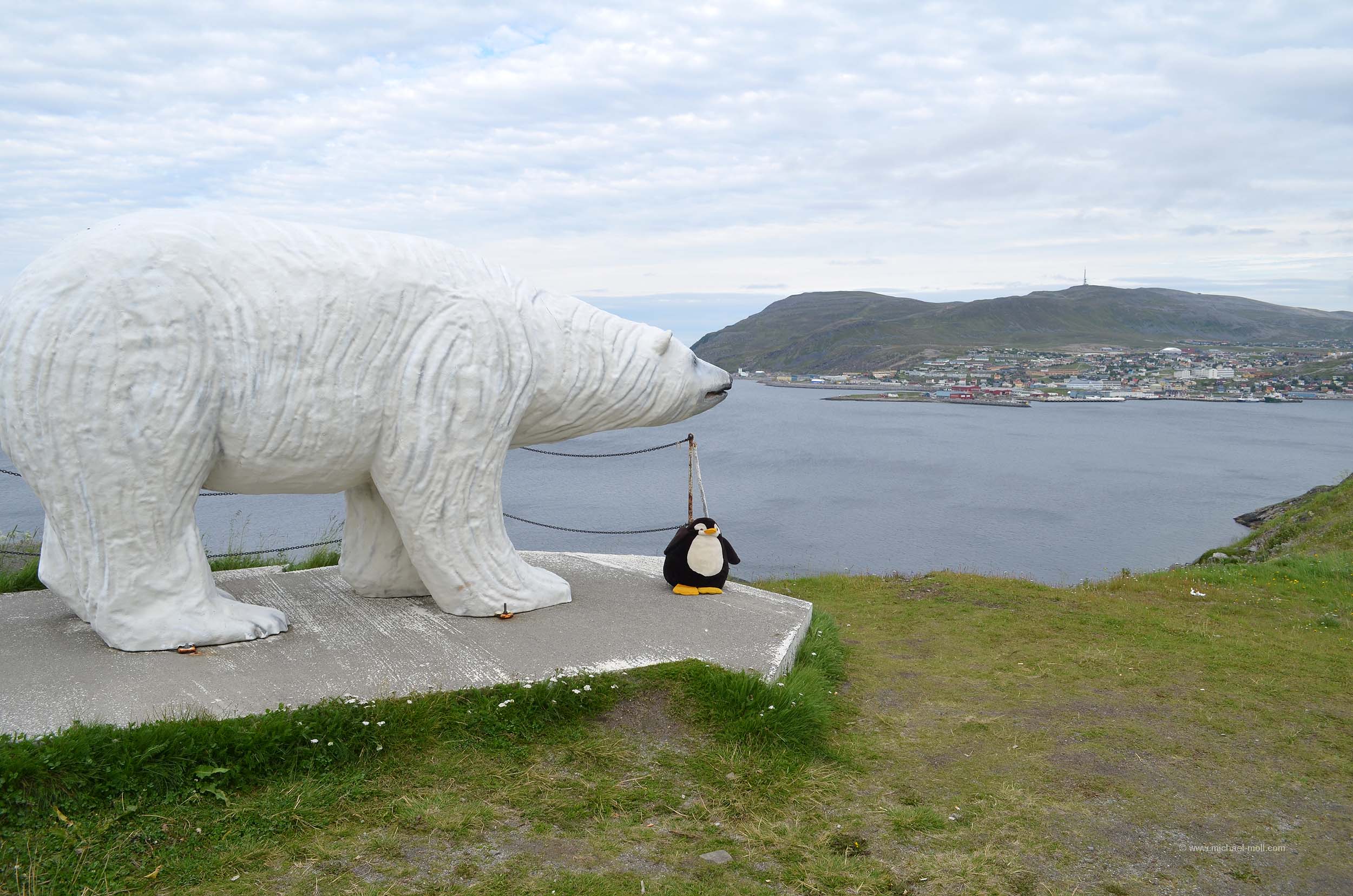 Eisbär in Hammerfest
