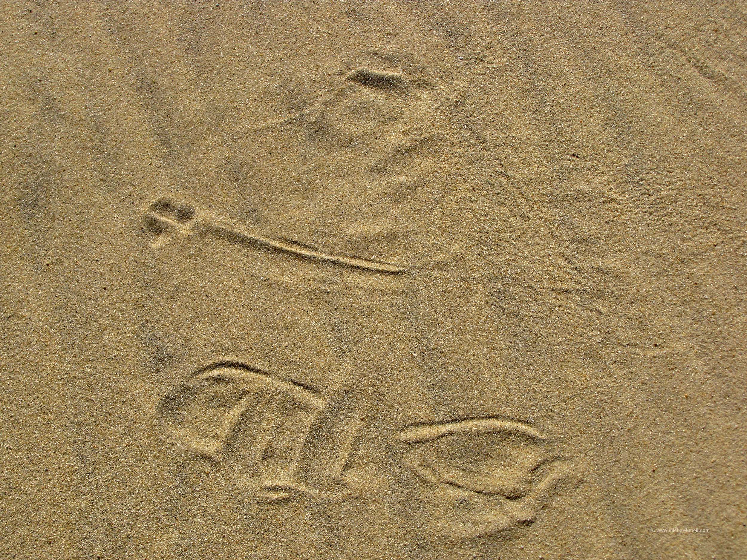 Hier saß Pingu im Sand