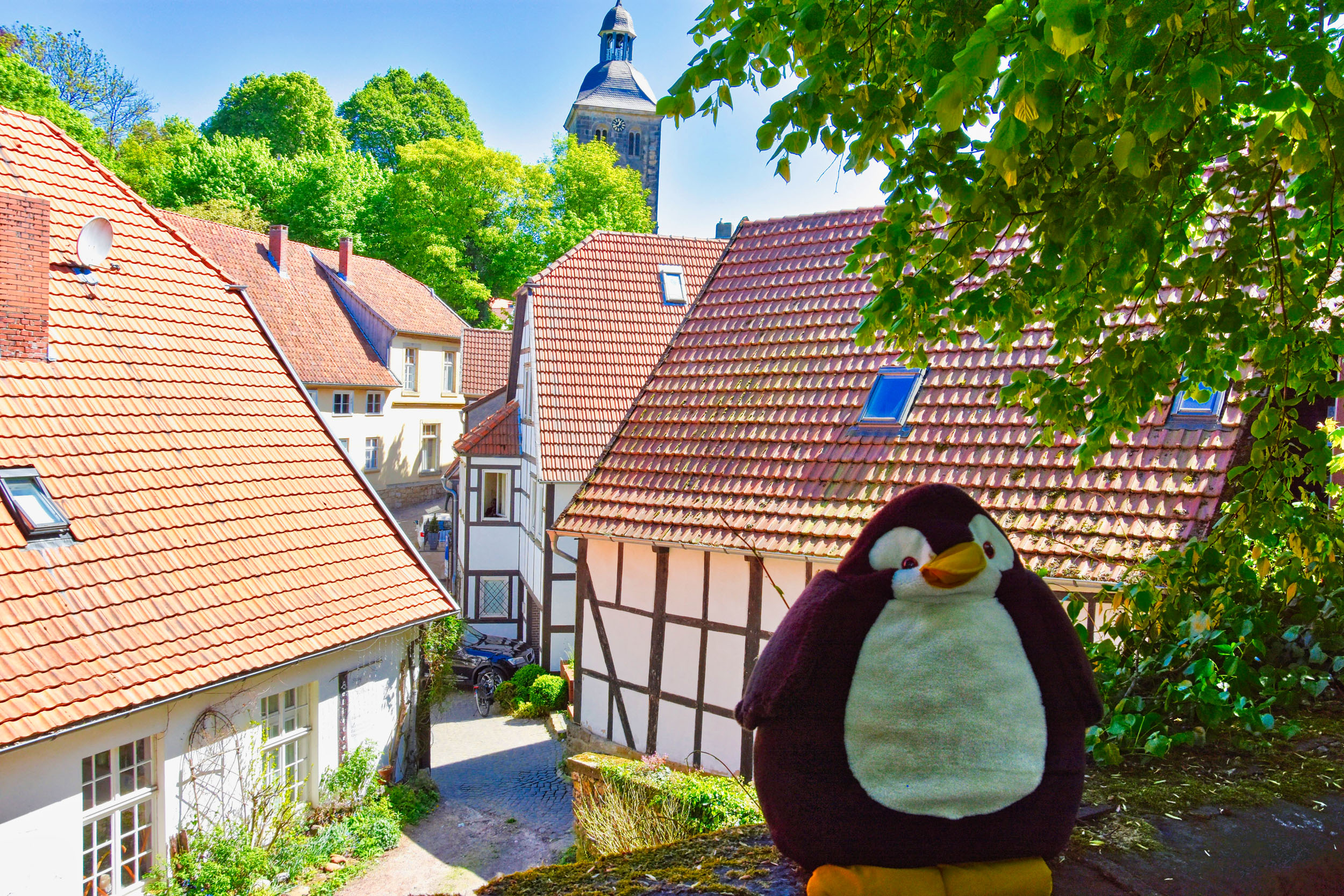 Pingu in Tecklenburg 