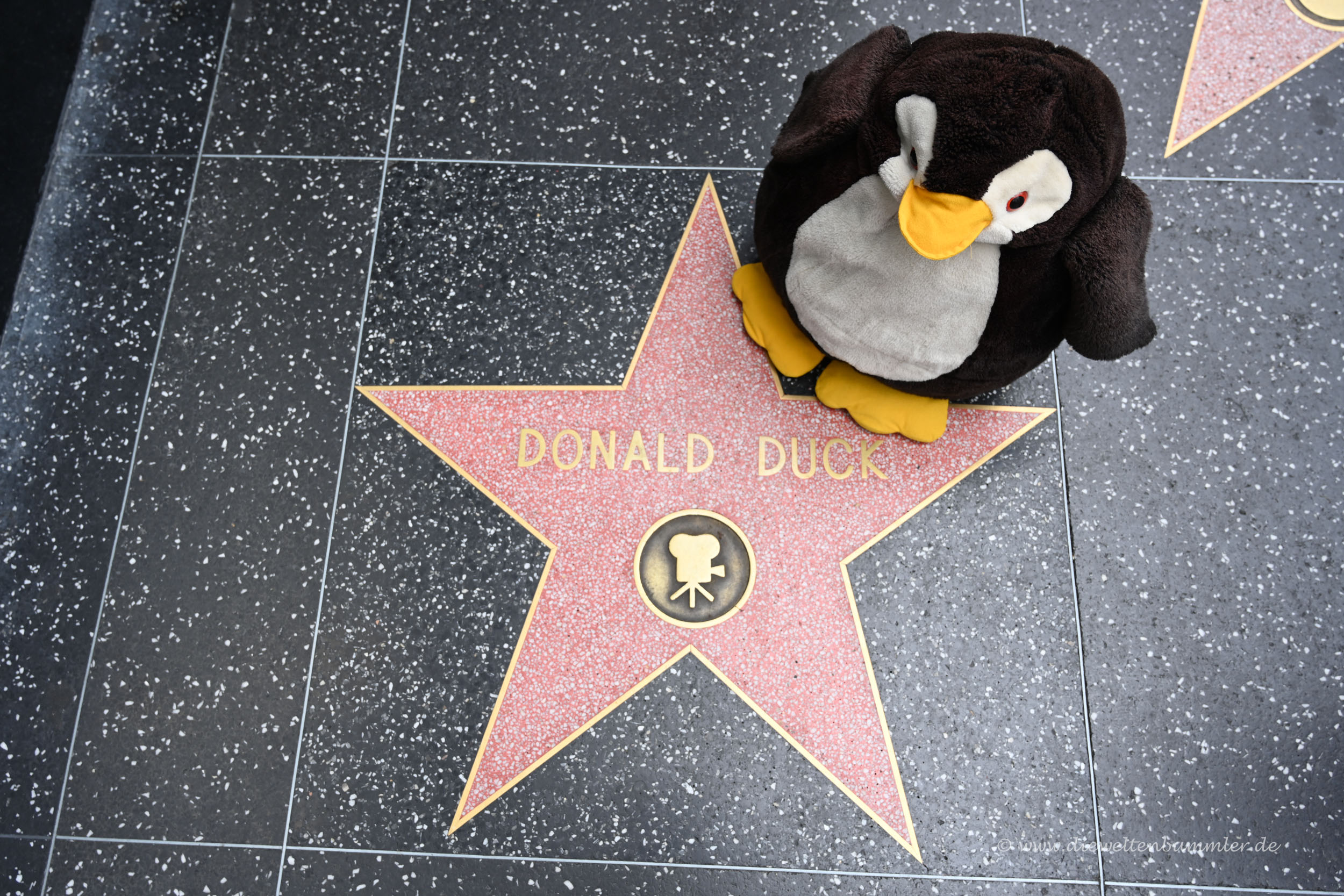 Walk of Fame - Donald Duck