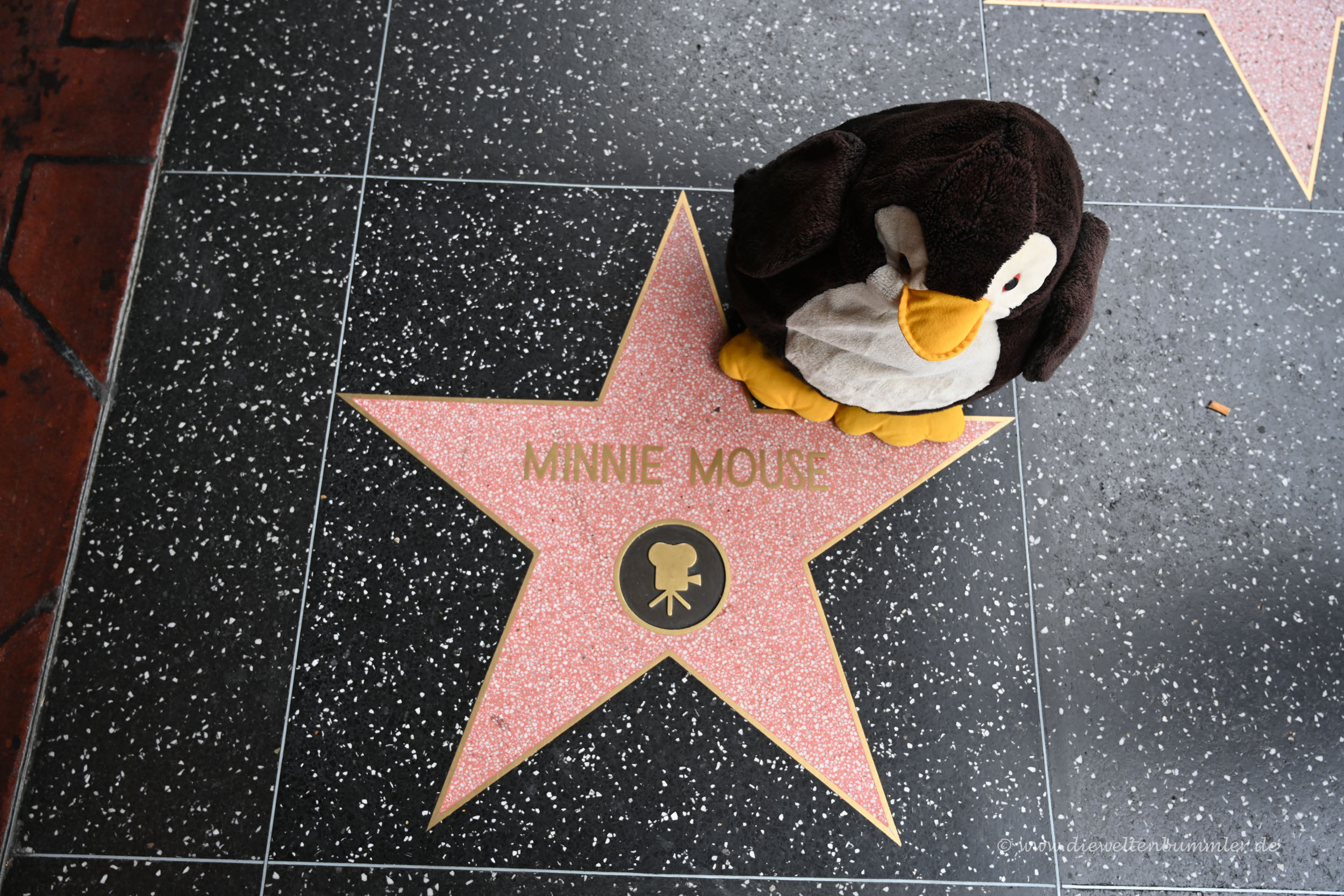 Walk of Fame - Minnie Maus