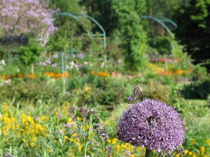 Garten von Monet