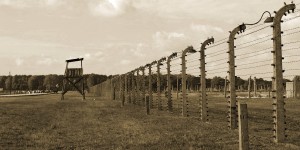 Zaun in Birkenau