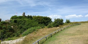 Hastings Castle hinter Bäumen