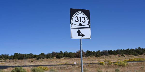 Highway 313