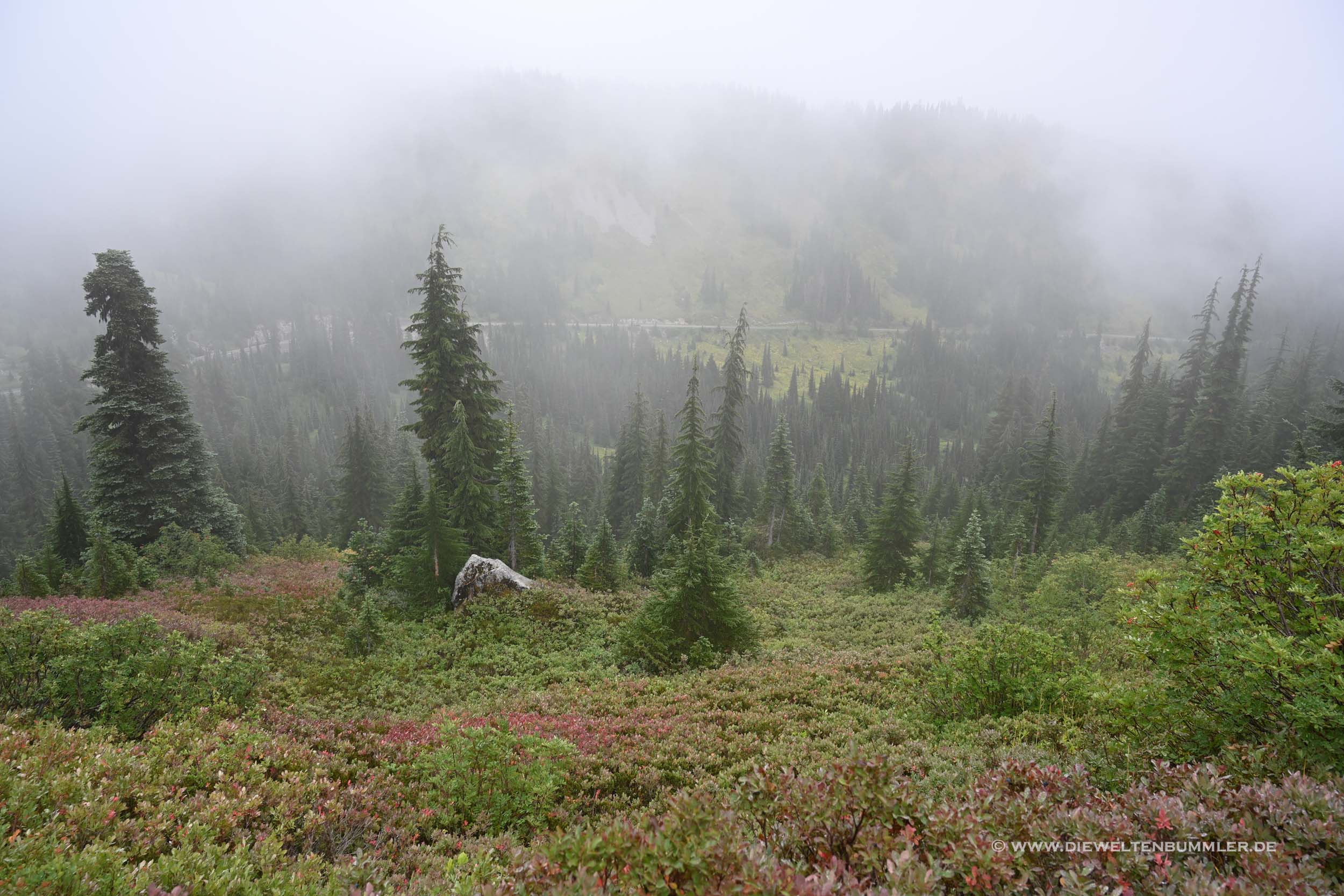 Mount Rainier Nationalpark im Nebel